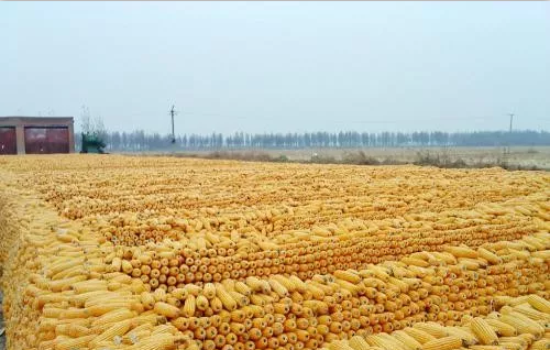 現(xiàn)代農業科技有限公司